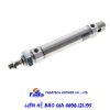 DSNU 25 80 PPS A